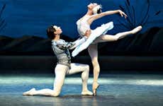 Guide de Saint-Pétersbourg